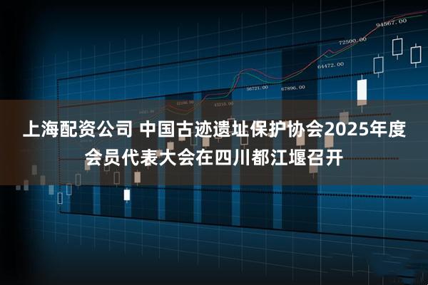上海配资公司 中国古迹遗址保护协会2025年度会员代表大会在四川都江堰召开